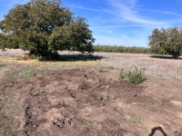 IMG_4877.jpg IMG_4877.jpg