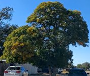 20251029_144812.jpg 20251029_144812.jpg