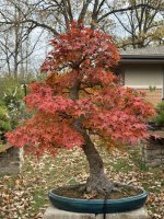 IMG_2202.jpg IMG_2202.jpg