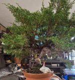 20251030_201212.jpg 20251030_201212.jpg