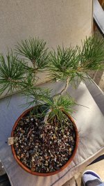 20251106_111947.jpg 20251106_111947.jpg