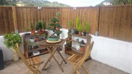 IMG_20201129_151100 (7).jpg