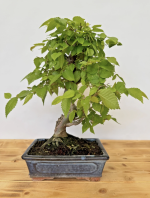 Screenshot 2025-11-10 at 02.39.44.png