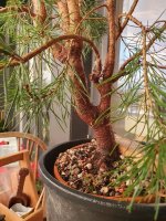 20251110_080747.jpg 20251110_080747.jpg