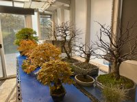 IMG_7056.jpeg IMG_7056.jpeg