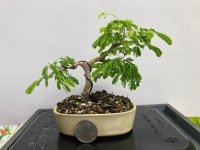 IMG_1928.jpeg IMG_1928.jpeg