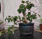 1763003672156.png 1763003672156.png