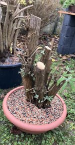 IMG_7226.jpeg IMG_7226.jpeg