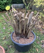 IMG_7228.jpeg IMG_7228.jpeg