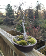 Screenshot 2025-11-14 at 9.41.14 AM.png