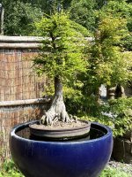 IMG_5131.jpeg IMG_5131.jpeg