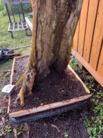 unnamed (100).jpg unnamed (100).jpg