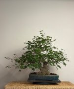 IMG_7521.jpeg IMG_7521.jpeg