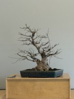 IMG_7507.jpeg IMG_7507.jpeg