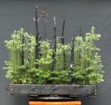 IMG_7539.jpeg IMG_7539.jpeg