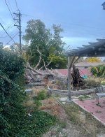 IMG_1848.jpeg IMG_1848.jpeg