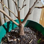 20251116_061346(2).jpg 20251116_061346(2).jpg