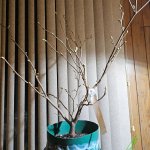 20251116_061338(1).jpg 20251116_061338(1).jpg