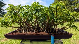 PXL_20250817_161735741 (1).jpg