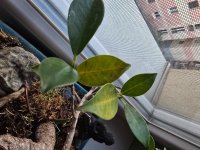 20251127_154719.jpg 20251127_154719.jpg