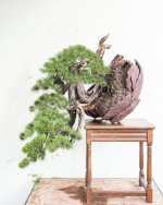 DSCF5863 Kopie 2virt klein.jpg DSCF5863 Kopie 2virt klein.jpg