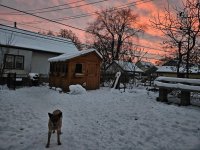 IMG_20251216_001111.jpg IMG_20251216_001111.jpg