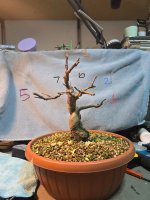 IMG_4821.jpeg IMG_4821.jpeg