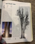 IMG_8343.jpeg IMG_8343.jpeg