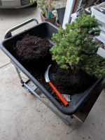 1767134480402.png 1767134480402.png