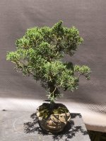 IMG_9980.JPG IMG_9980.JPG