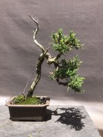 IMG_9982.JPG IMG_9982.JPG