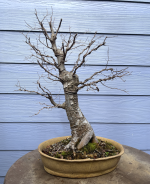 Screenshot 2026-01-01 at 1.51.31 PM.png