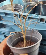 20260102_095620.jpg 20260102_095620.jpg