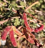 Screenshot_20260105_135521_Google.jpg Screenshot_20260105_135521_Google.jpg