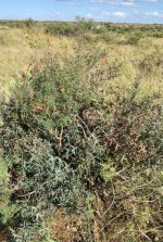 Screenshot_20260105_140010_Google.jpg Screenshot_20260105_140010_Google.jpg