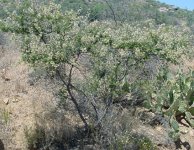 Screenshot_20260105_185940_Google.jpg Screenshot_20260105_185940_Google.jpg