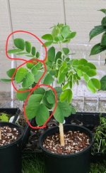 20230515_143452(1)(1).jpg 20230515_143452(1)(1).jpg