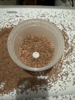 IMG_2424.jpeg IMG_2424.jpeg