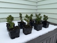 IMG_0015.jpeg IMG_0015.jpeg