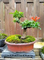 IMG20260108105905 (1).jpg