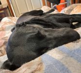 1000004693.jpg 1000004693.jpg