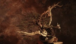 Randy Rocky After.jpg