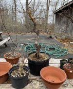 IMG_5890.jpeg IMG_5890.jpeg