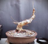 20260113_1.jpg 20260113_1.jpg