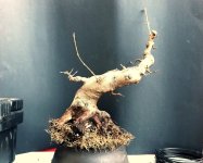 20260113_3.jpg 20260113_3.jpg