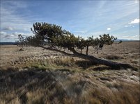 Screenshot 2026-01-20 141849.jpg