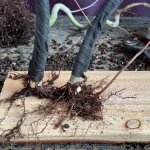 IMG_2479.jpeg IMG_2479.jpeg