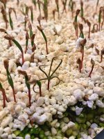 20260124_205832.jpg 20260124_205832.jpg