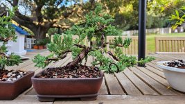 20260125_162912.jpg 20260125_162912.jpg