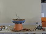 IMG_5471_zpsrzqyqeek.jpg